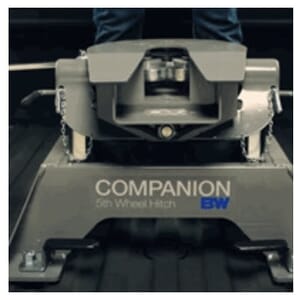 Companion® OEM