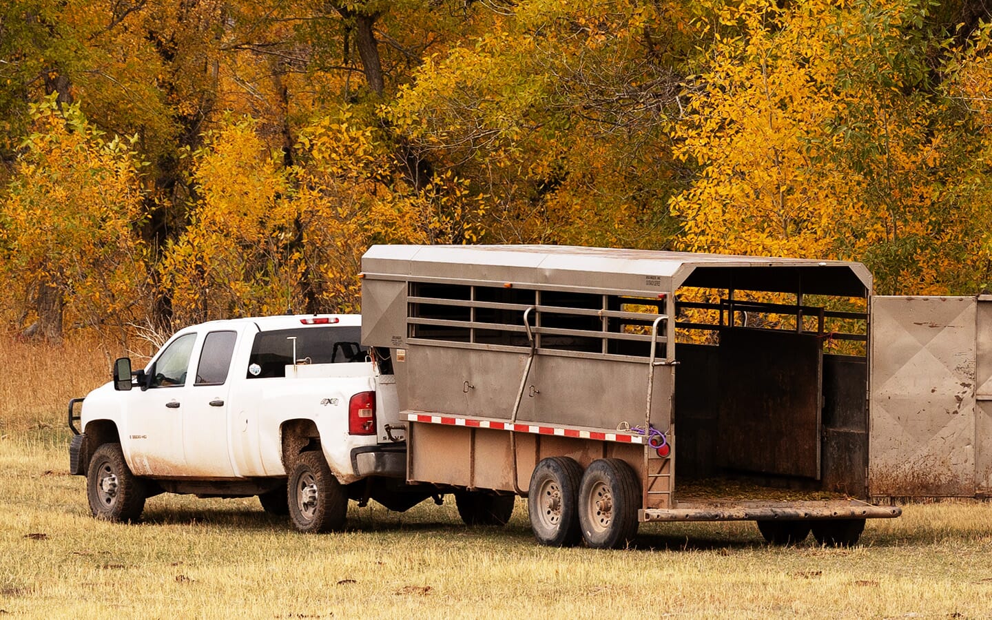 Trailer Brakes
