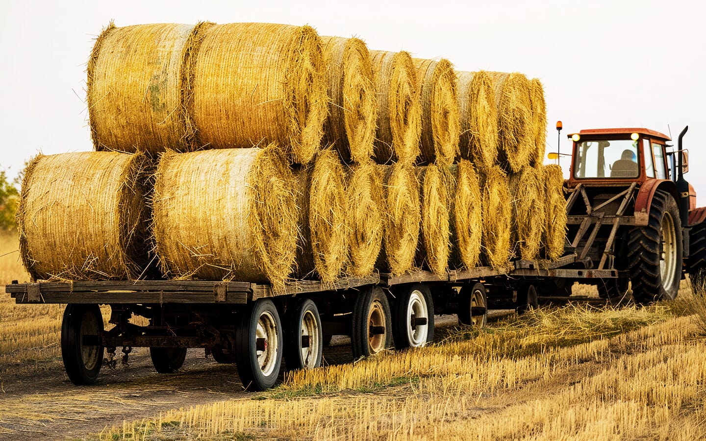 Trailer Parts