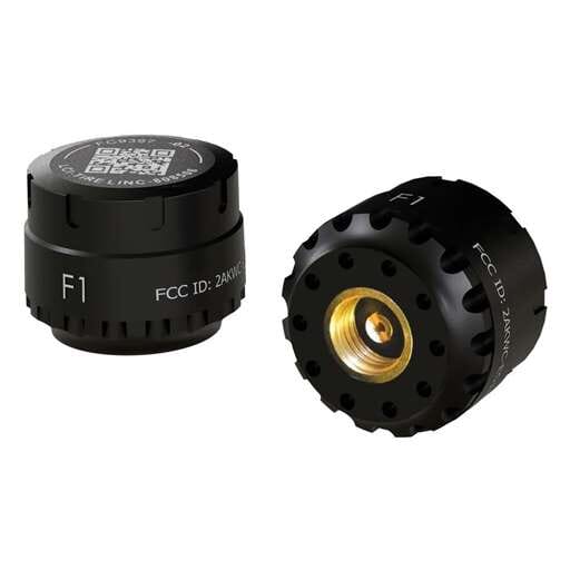 Curt Tire Linc Auto TPMS Add-on Sensors 2-Pack - 57011